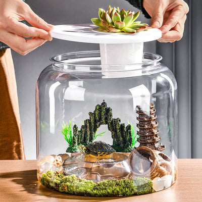 Acuario de Escritorio Ecológico con Alimentador Automático - Image 4