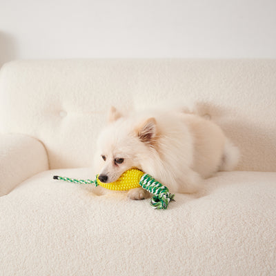 Juguete Masticable Dental para Cachorros - Limpieza de Dientes e Interactivo - Image 7