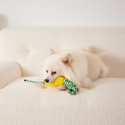 Juguete Masticable Dental para Cachorros - Limpieza de Dientes e Interactivo - Image 7
