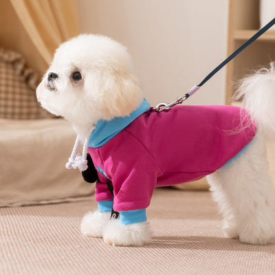 Sudaderas con Capucha para Perros Pequeños y Medianos - Diseño Bloques de Color Otoño/Invierno - Image 6