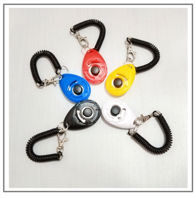 Turquoise dog training clicker with a black button and paw print, attached to a black coiled lanyard with a silver lobster clasp. - Image 17
