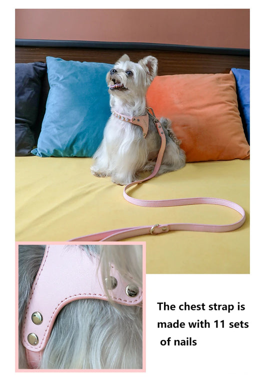 Arnés y Correa para Perro de Cuero PU con Strass Ajustable - Image 15