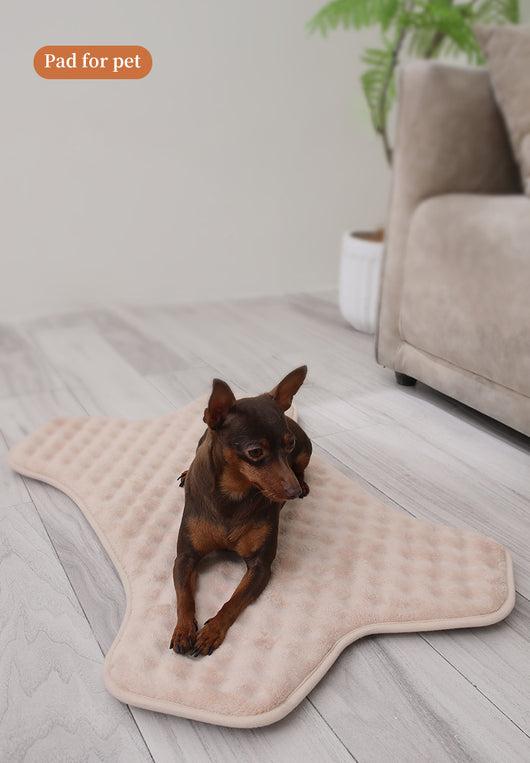 Tapete Antideslizante para Mascotas Pequeñas y Medianas - Protección Total - Image 10