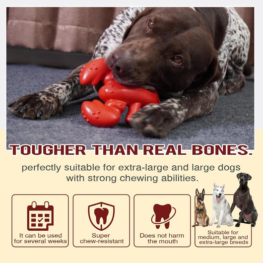 Juguete Masticable Resistente para Perros Grandes y Medianos - Limpieza Dental y Diversión - Image 7