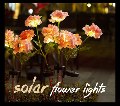 Luces Solares Decorativas para Jardín con Toma de Corriente - Image 16