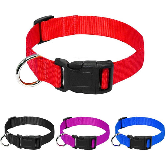 Correa para Perro de Nylon Resistente - Image 7