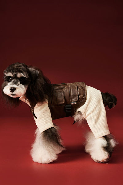 Ropa Térmica para Perros - Abrigo Waffle Otoño e Invierno - Image 16