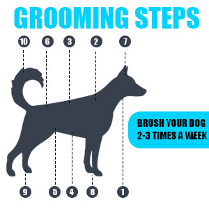 Cepillo Deshedding para Perros y Gatos - Herramienta Profesional de Aseo - Image 14