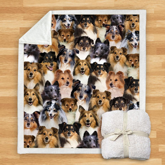 Manta de Franela Estampada para Perros de Diseño Moderno - Image 25