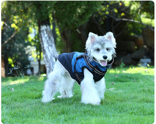 Ropa Impermeable para Mascotas en Algodón Resistente - Image 16