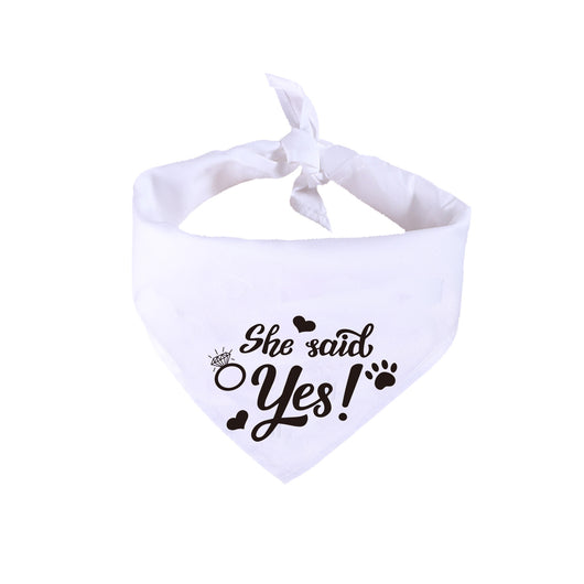 Pañuelo Blanco para Perro - Joyería Nupcial San Valentín - Image 7