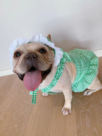 Vestido Escocés para Perro con Accesorios - Image 6