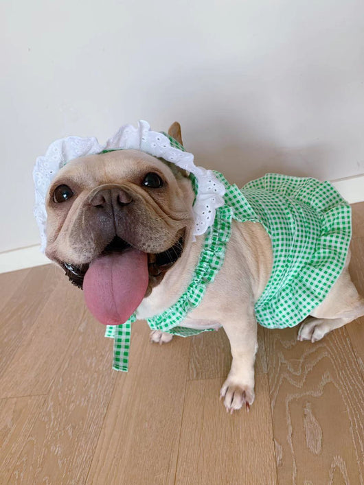 Vestido Escocés para Perro con Accesorios - Image 6