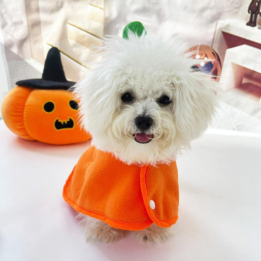 Capa Halloween para Mascotas - Disfraz Adorable para Perros y Gatos - Image 11