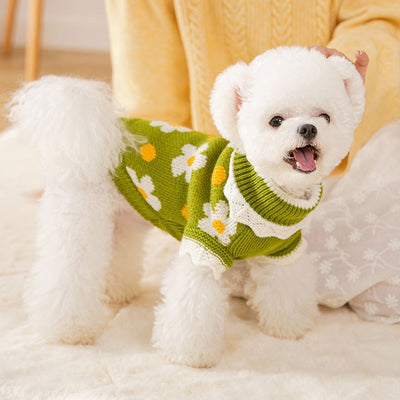 Suéter Tejido para Mascotas - Colección Otoño Invierno - Image 9