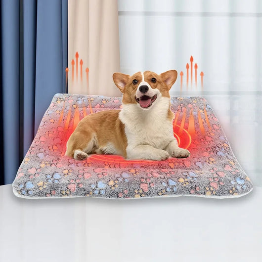 Cama Ortopédica Reversible para Perros - Colchoneta Lavable Premium - Image 2