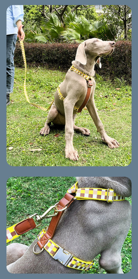 Arnés en I para Mascotas con Cuerda de Tracción - Image 17