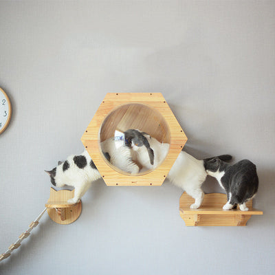 Árbol Rascador para Gatos con Nido Espacioso en Madera Sólida - Image 10