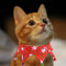 Collar Navideño para Mascotas con Cascabel Ajustable
