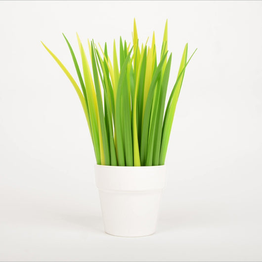 Pluma Estilográfica Personalizada - Caja de Regalo Creativa y Decorativa - Image 3