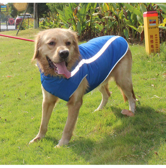 Abrigo Térmico para Perros Medianos y Grandes - Protección Invernal - Image 10