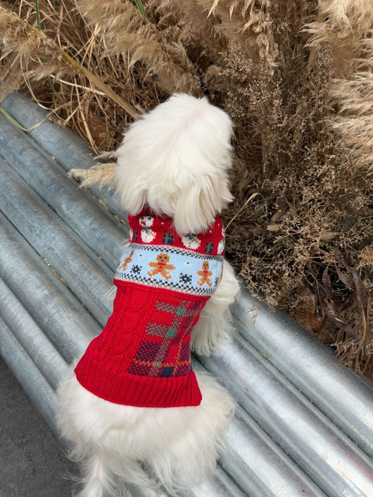 Suéter Navideño para Mascotas - Diseño Muñeco de Nieve y Jengibre - Image 22