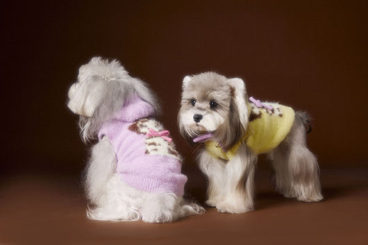 Chaleco Sudadera con Capucha y Estampado de Perrito - Image 15