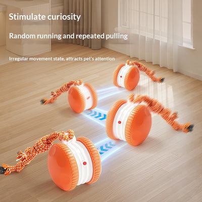Pelota Interactiva Recargable para Gatos y Perros - Juguete Rodante Duradero - Image 4