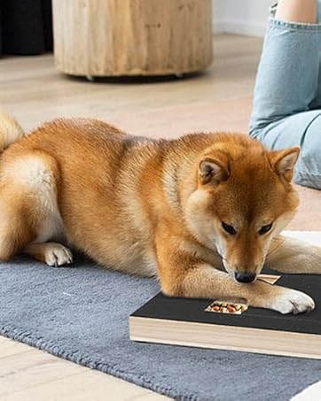 Tabla de Rascado para Uñas de Perros - Limador Natural con Caja de Premios - Image 9