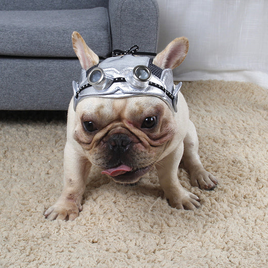Vestido de Fiesta para Mascotas - Image 7