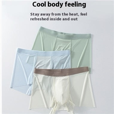 Calzoncillos de Seda de Hielo para Hombre - Diseño sin Costuras y Secado Rápido - Image 2