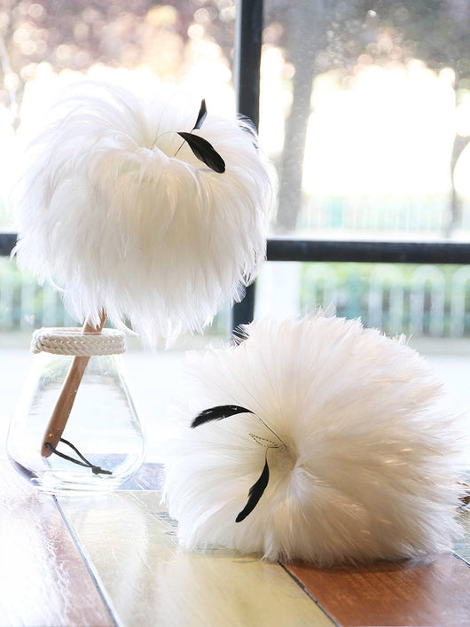 Plumero de Plumas Blanco - Limpiador de Polvo Decorativo - Image 19