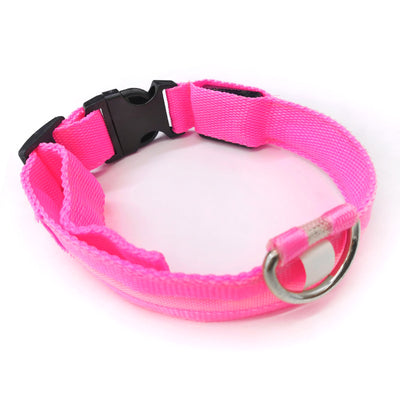 Collar Luminoso Antiextravío para Perros con Placa de Identificación