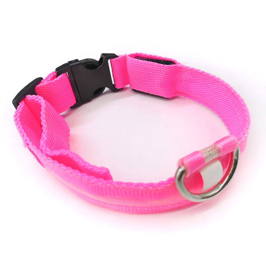 Collar Luminoso Antiextravío para Perros con Placa de Identificación