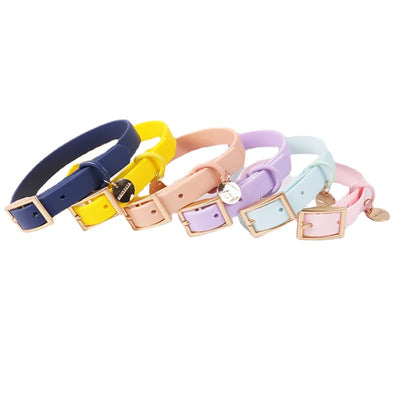 Juego de Correas Universales con Cuerda de Sujeción para Móvil y Accesorios - Image 5