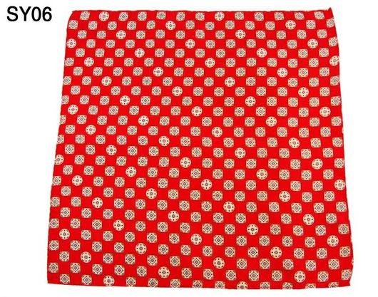 Pañuelo de Bolsillo en Seda para Hombre Ejecutivo - Image 24