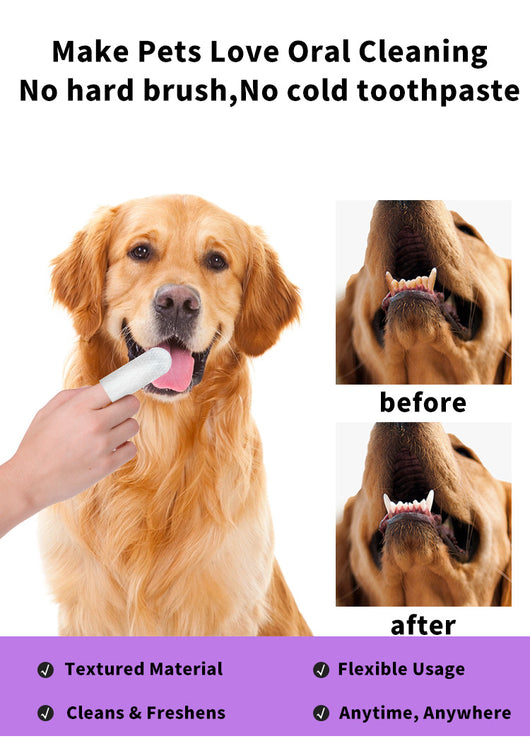 Kit Completo de Higiene Dental y Cuidado de Oídos para Mascotas - Image 20
