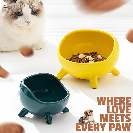 Comedero y Bebedero Cerámico para Gatos y Perros Pequeños con Base Antideslizante - Image 9