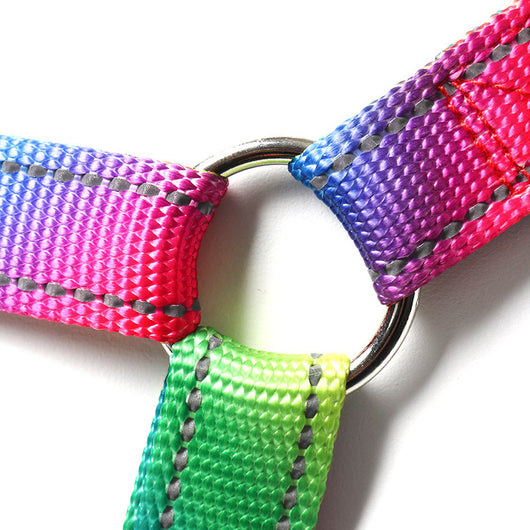 Arnés Colorido con Correa para Perros - Diseño Creativo y Seguro - Image 4
