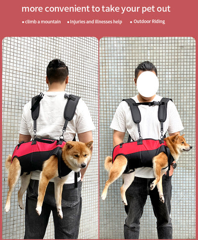 Mochila Transportadora Aérea para Mascotas - Paseos y Aventuras - Image 21