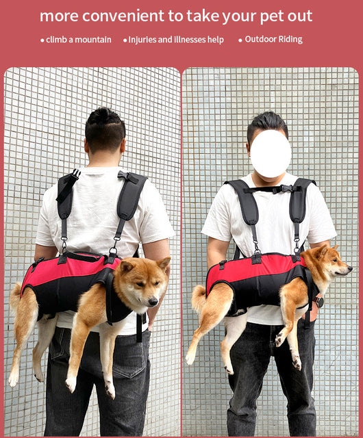Mochila Transportadora Aérea para Mascotas - Paseos y Aventuras - Image 21