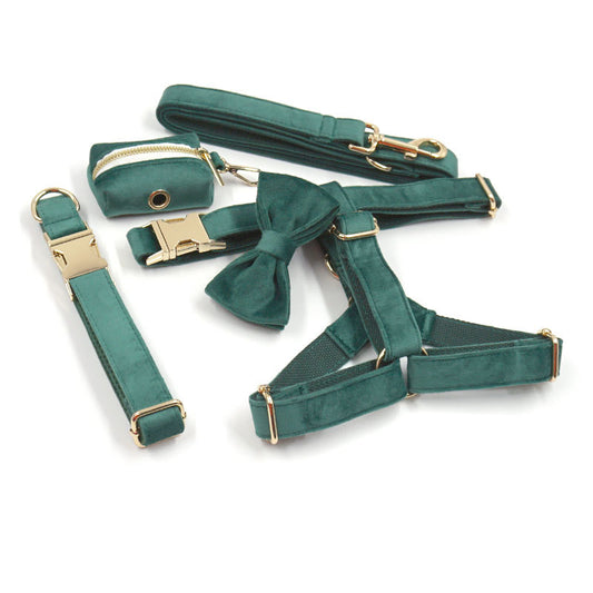 Collar y Correa para Perro en Terciopelo Verde