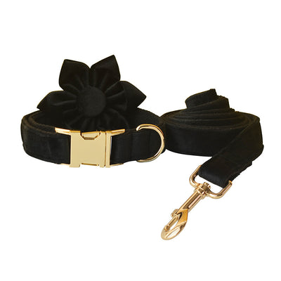 Correa y Collar Doble Capa de Microfibra con Hebilla Oro Rosa - Image 16