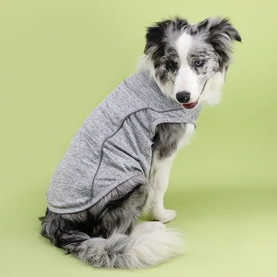 Ropa Reflectante para Perros Pequeños - Chaleco Luminoso Teddy, Pomerania y Pug - Image 28
