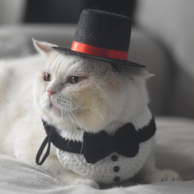 Cuello Tejido para Gato con Sombrero de Mago y Corbata de Caballero