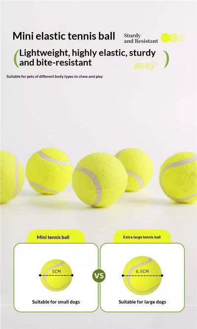 Lanzador Automático de Pelotas de Tenis para Perros - Image 15