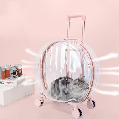 Bolsa Transportadora Transparente para Gatos - Image 2
