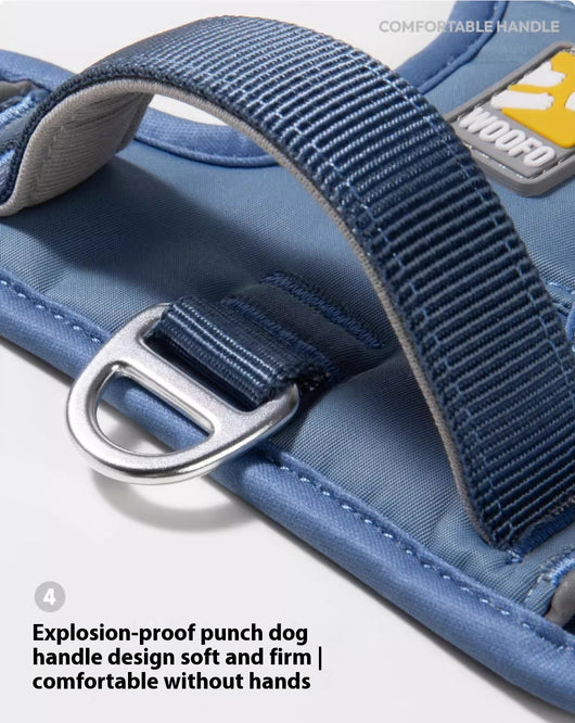 Arnés de Pecho con Correa para Paseos Seguros de Mascotas - Image 14