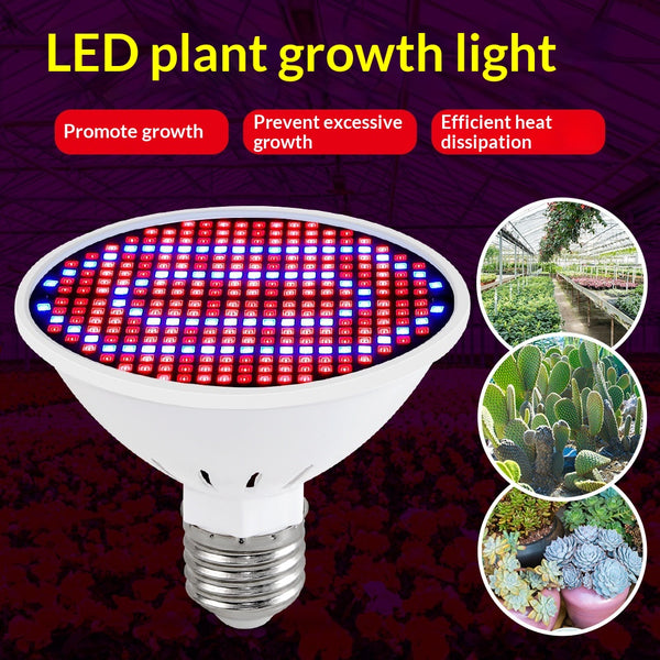 Luz de Crecimiento LED Espectro Rojo-Azul 126/200/300 Diodos para Plantas