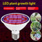 Luz de Crecimiento LED Espectro Rojo-Azul 126/200/300 Diodos para Plantas